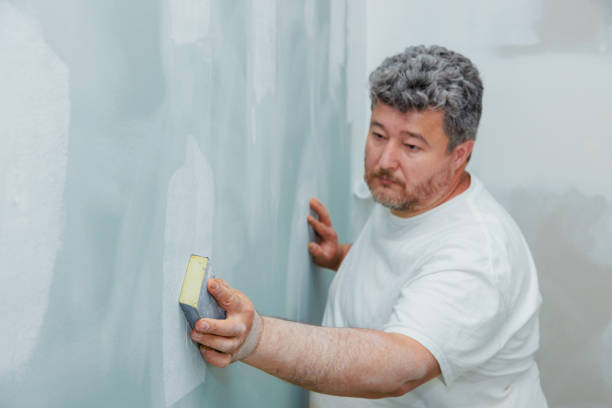 Best Black Mold Removal  in Maywood Park, OR