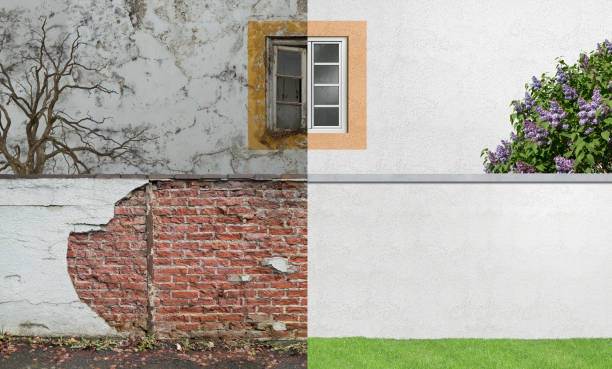 Best Mold Odor Removal Services  in Maywood Park, OR