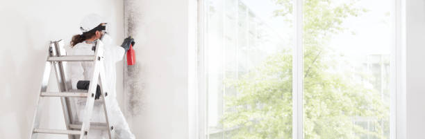 Trusted Maywood Park, OR Mold Removal Experts