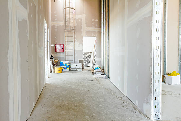 Best Emergency Mold Remediation  in Maywood Park, OR
